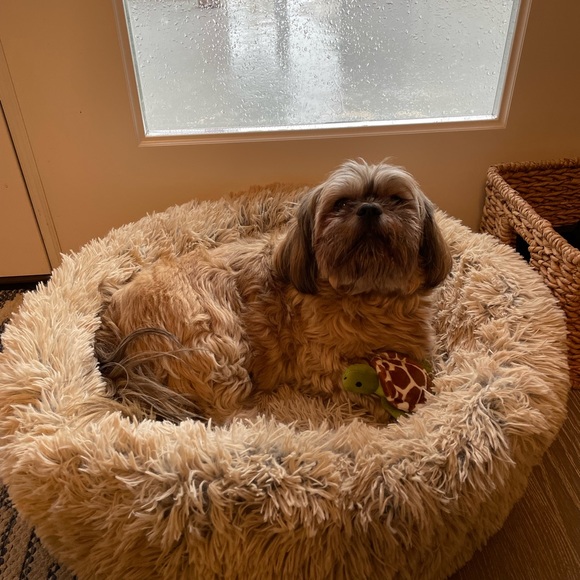 👑Meet the Posher, Rachael @rachtine 👑 - Picture 2 of 8